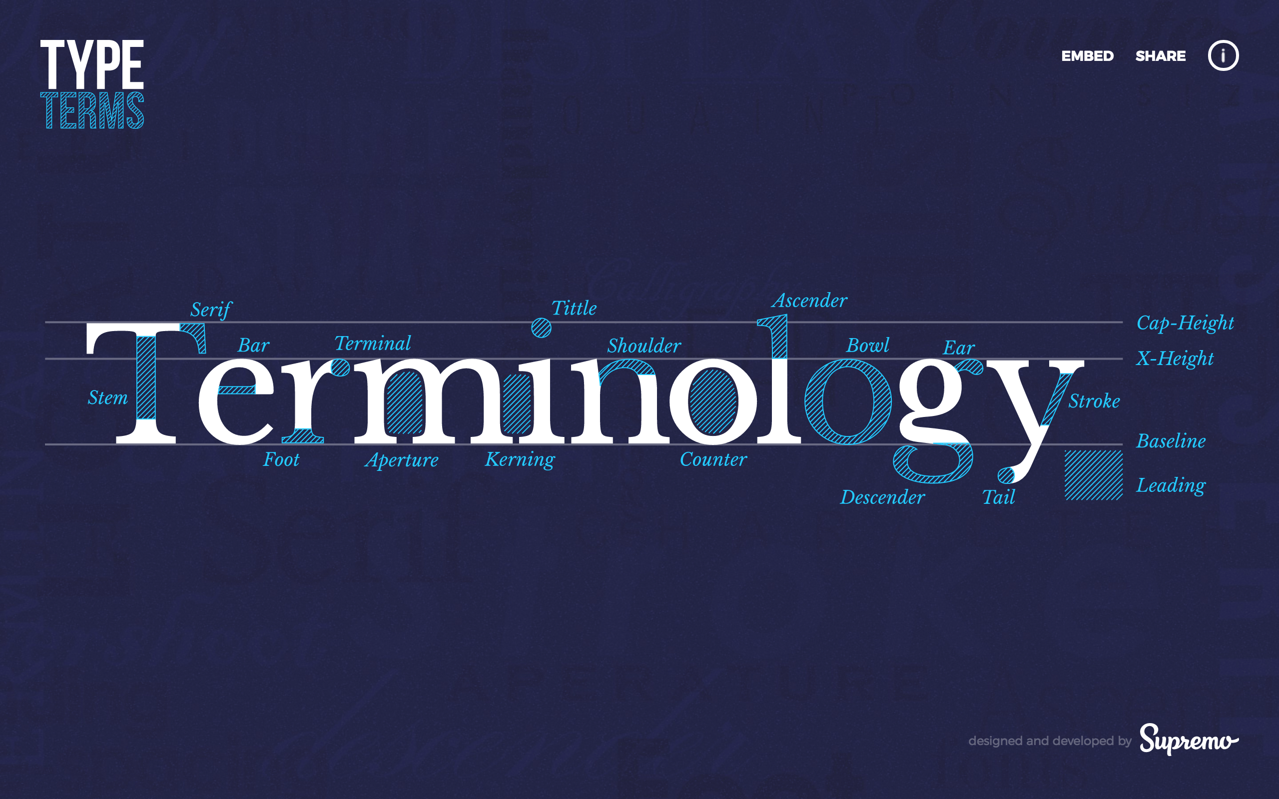 Type Terms